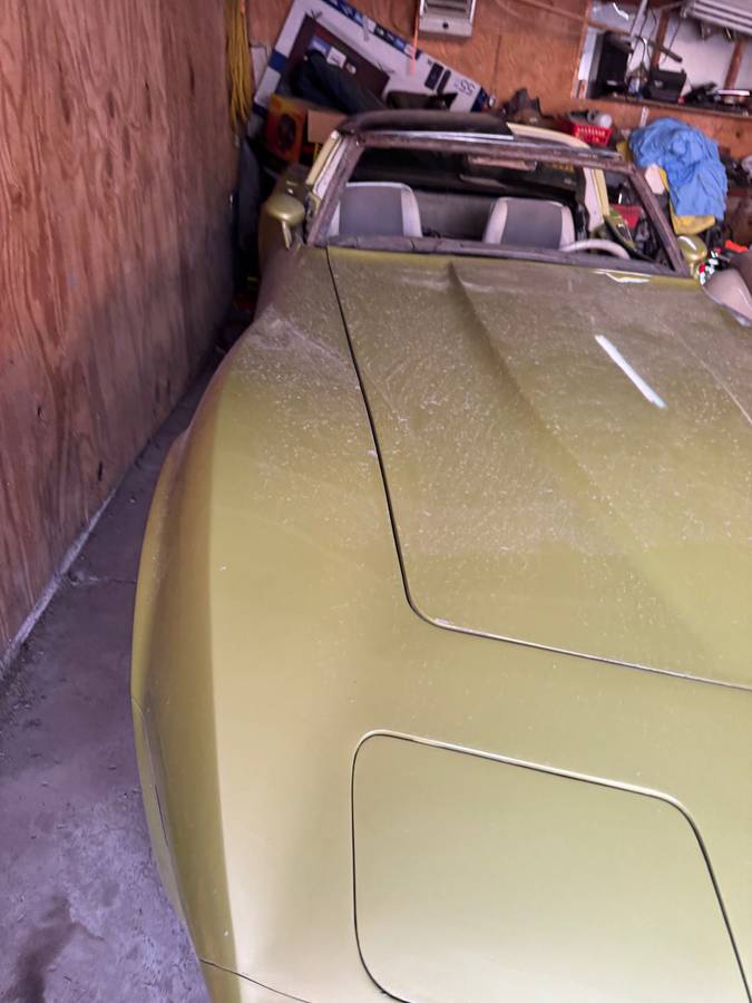 Chevy-corvette-coupe-1980-green-1
