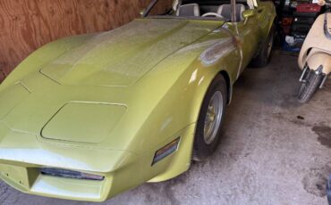Chevy-corvette-coupe-1980-green