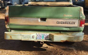 Chevy-diesel-1982-4