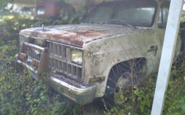 Chevy-diesel-1982-white-1