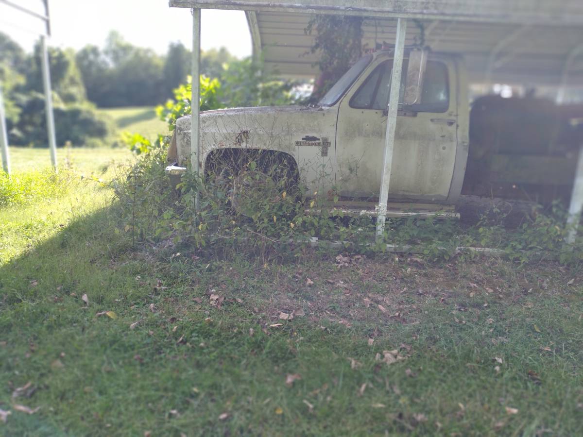 Chevy-diesel-1982-white-2