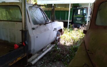 Chevy-diesel-1982-white-6