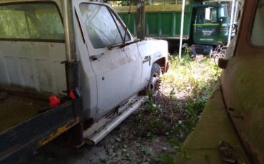 Chevy-diesel-1982-white-7