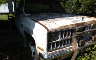 Chevy-diesel-1982-white-9