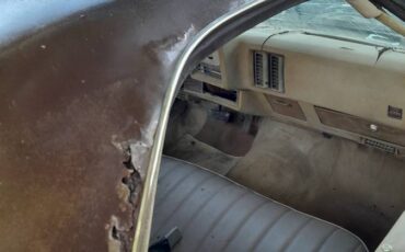 Chevy-el-camino-1977-brown-3