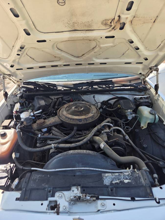 Chevy-el-camino-1986-white-9