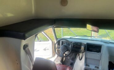 Chevy-i-ton-1995-blue-17