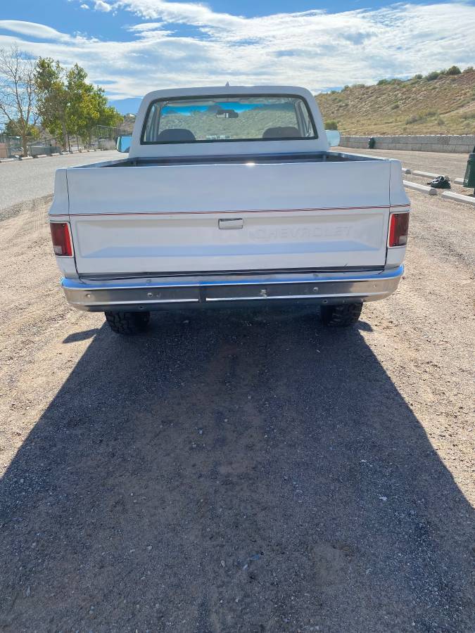 Chevy-k-10-pickup-1973-white-3