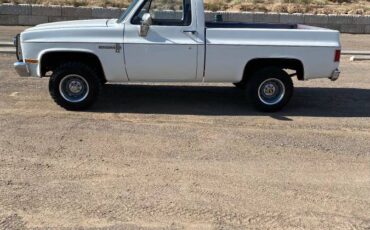 Chevy-k-10-pickup-1973-white