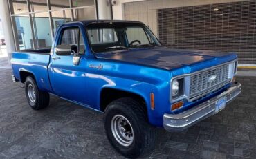 Chevy-k10-4x4-1974-blue