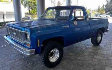Chevy-k10-4x4-1974-blue-6