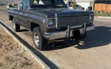 Chevy-k10-4x4-1977-grey-2
