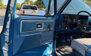 Chevy-k10-4x4-1979-blue-9