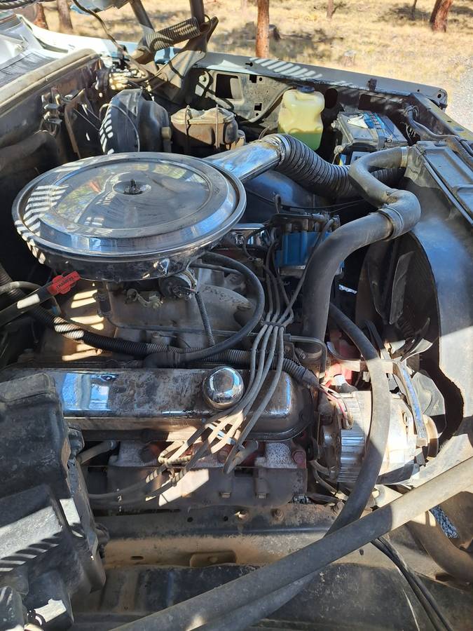 Chevy-k20-1978-white-7