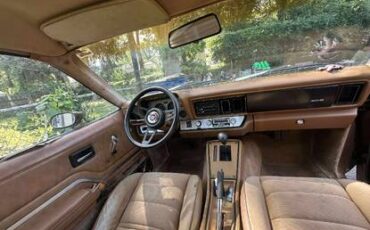 Chevy-monza-1980-brown