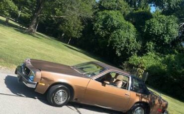 Chevy-monza-1980-brown-5