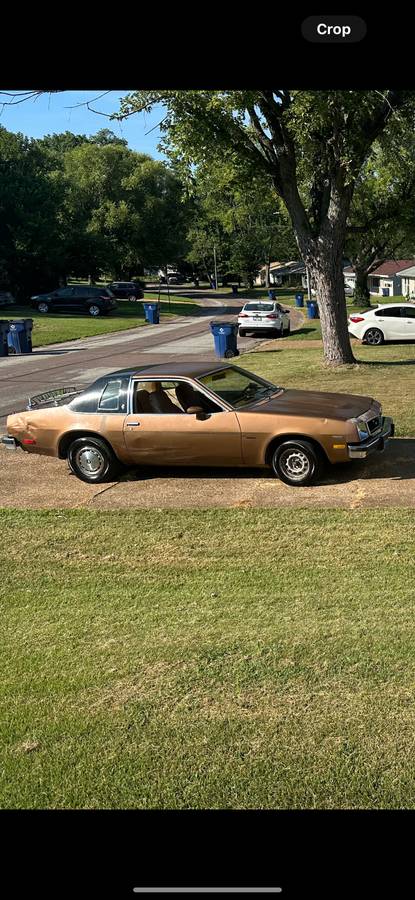 Chevy-monza-1980-brown-6