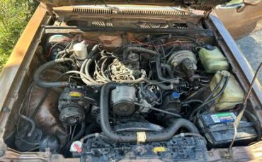 Chevy-monza-1980-brown-7
