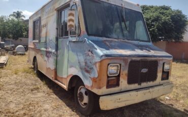 Chevy-p30-1987-custom-1