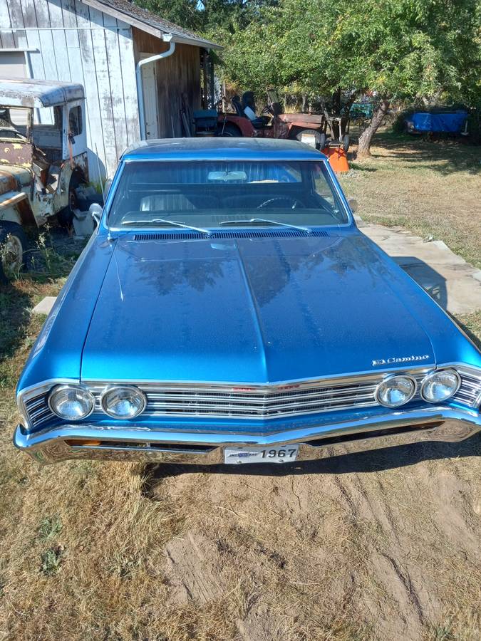 Chevy-pickup-1967-blue
