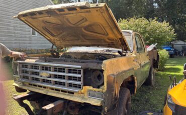 Chevy-pickup-1977-yellow