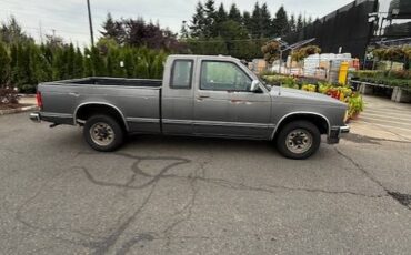 Chevy-s10-extended-cab-pickup-1989-grey-10