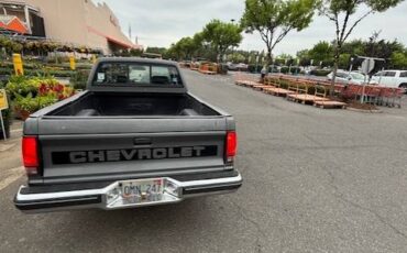 Chevy-s10-extended-cab-pickup-1989-grey