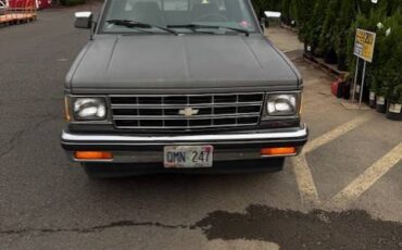 Chevy-s10-extended-cab-pickup-1989-grey-4