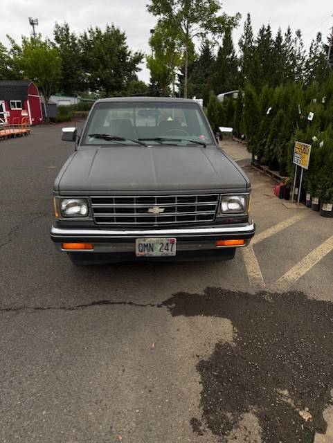 Chevy-s10-extended-cab-pickup-1989-grey-4