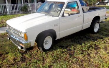 Chevy-s10-pickup-1988-white