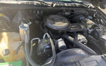 Chevy-s10-pickup-1995-black-12