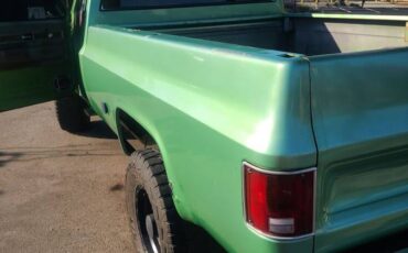 Chevy-scottsdale-1976-green-3