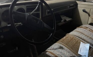 Chevy-scottsdale-1983-brown-3