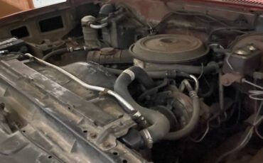 Chevy-scottsdale-1983-brown-4