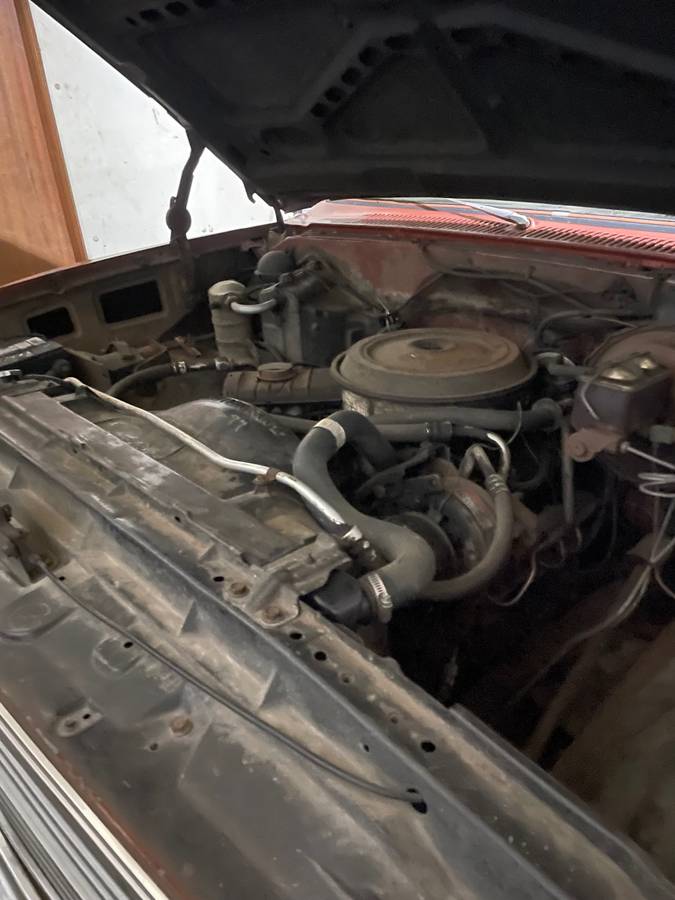 Chevy-scottsdale-1983-brown-4