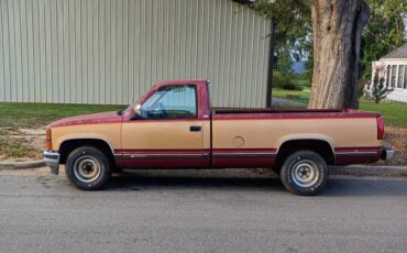 Chevy-silverado-1500-1989-brown-6