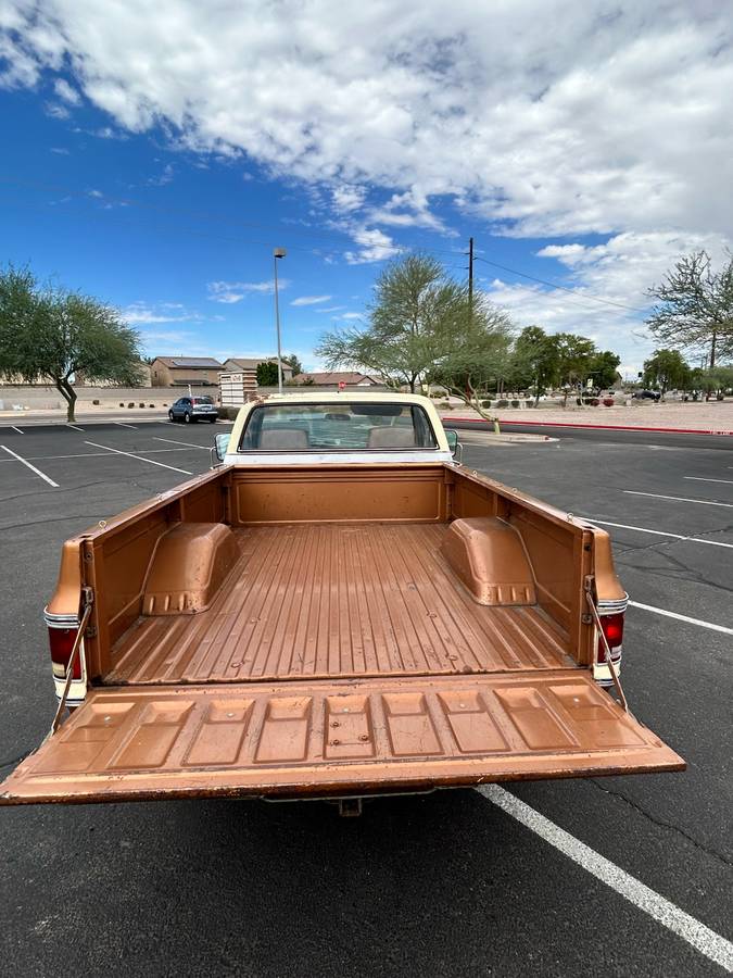Chevy-silverado-1979-7