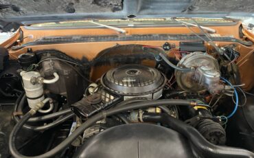 Chevy-silverado-1979-8