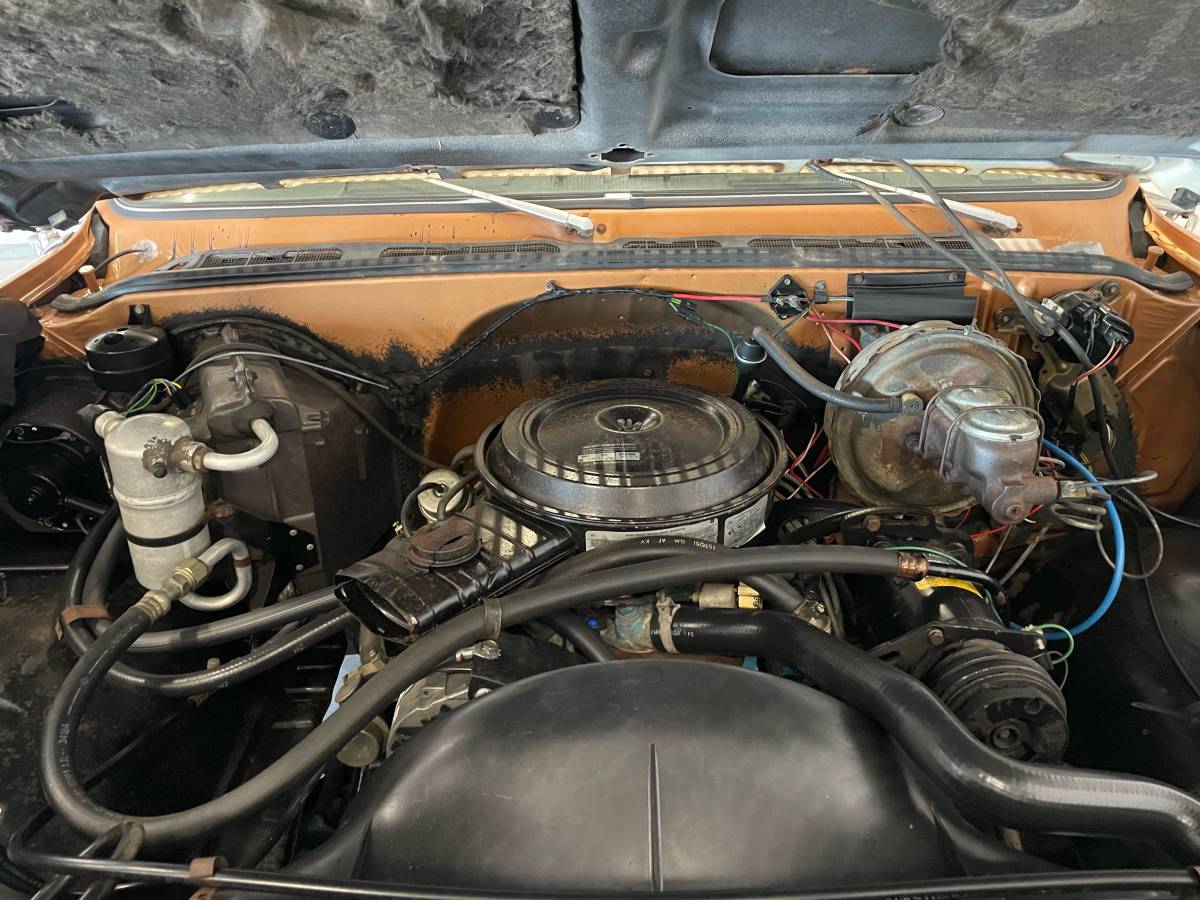 Chevy-silverado-1979-8