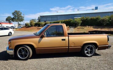 Chevy-silverado-1990-brown-2