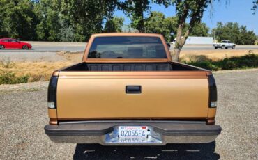 Chevy-silverado-1990-brown-3