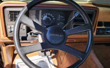 Chevy-silverado-1990-brown-32