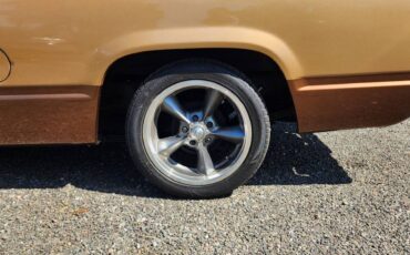Chevy-silverado-1990-brown-9