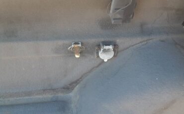 Chevy-silverado-3500hd-1993-white-16