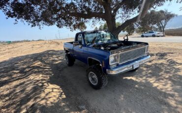 Chevy-silverado-k10-1978-blue-3