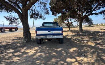 Chevy-silverado-k10-1978-blue-6