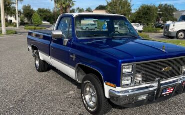 Chevy-silverado-pick-up-1987-blue-4