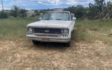 Chevy-square-body-1979-1