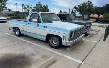 Chevy-squarebody-c-10-1979-blue-18