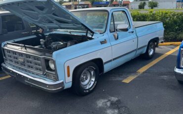 Chevy-squarebody-c-10-1979-blue